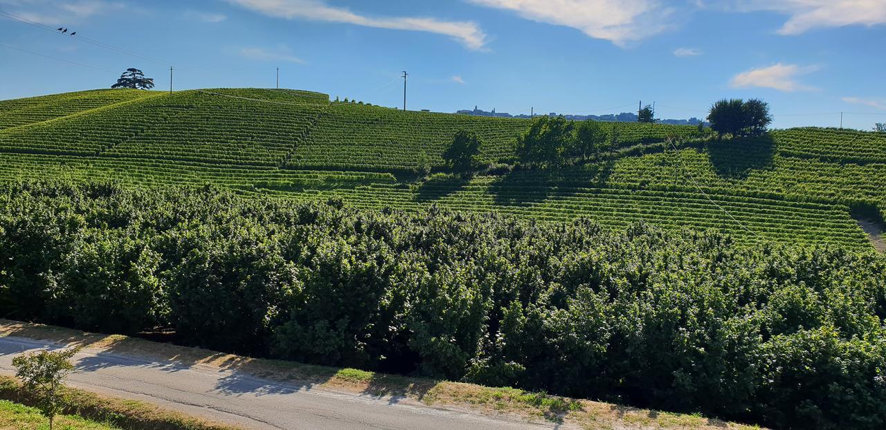 Cascina Goretta Agriturismo La Morra Kültér fotó